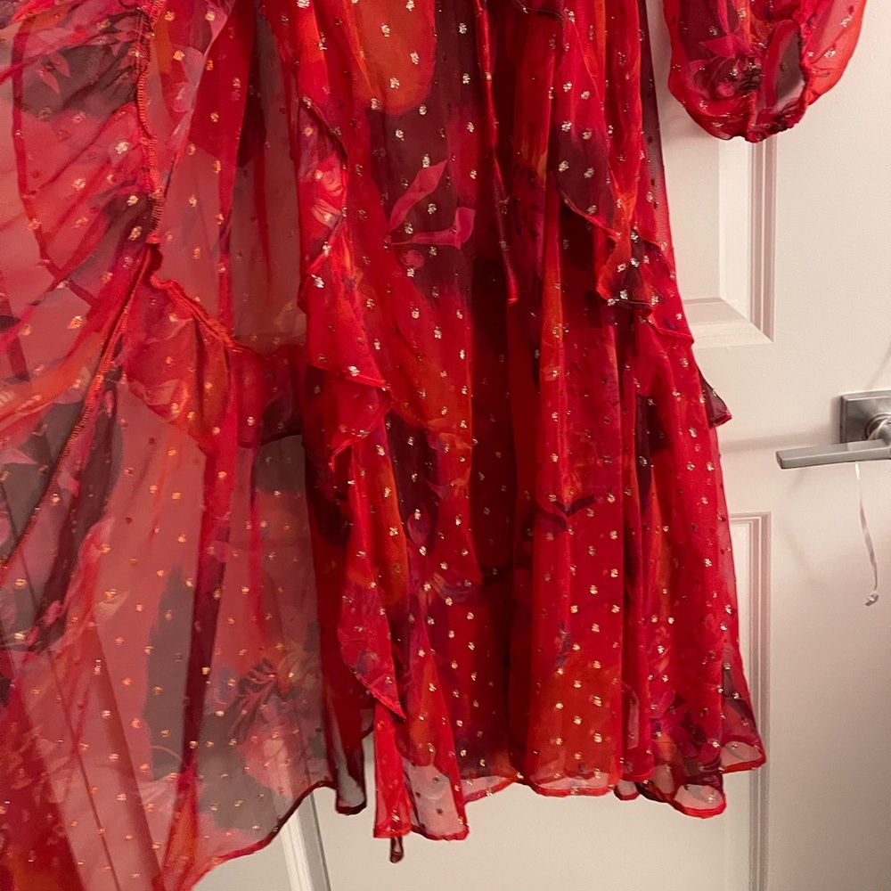 NWT ANTHROPOLOGIE gorgeous dress ! - Picture 7 of 10